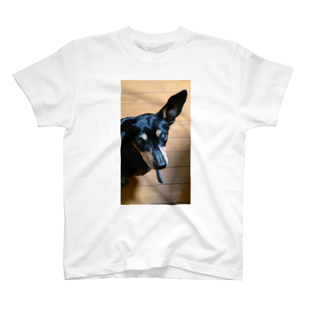 watama33の左耳立犬 スタンダードTシャツ