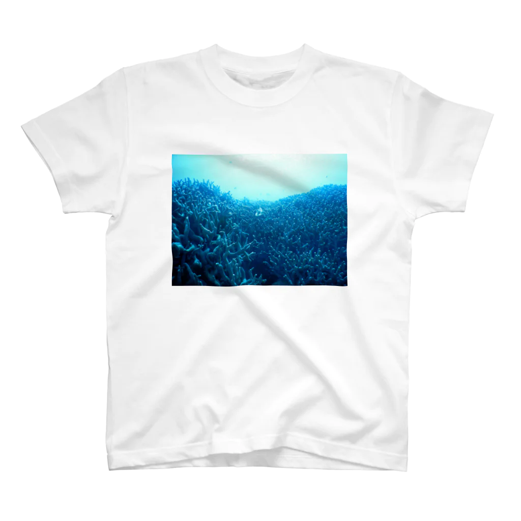 umin0nakaの青い珊瑚礁 Regular Fit T-Shirt