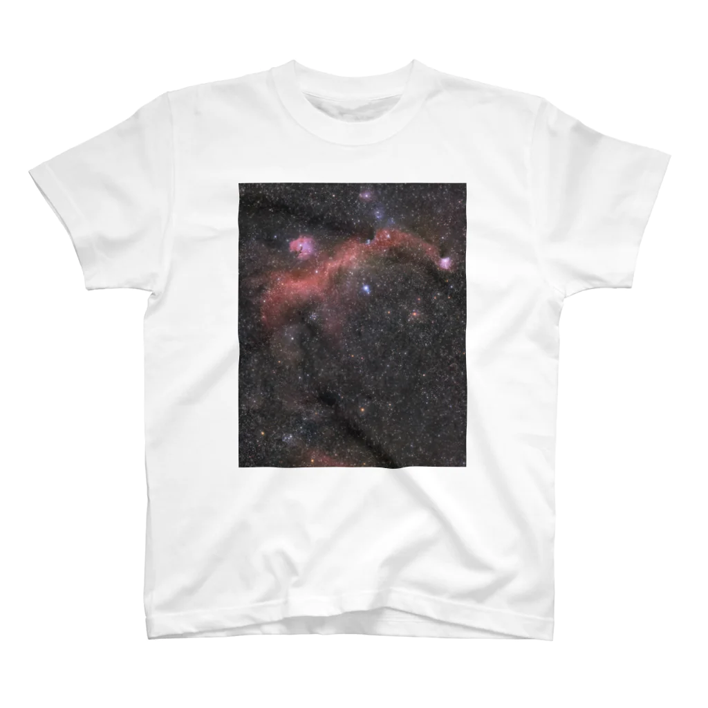 S204_Nanaのカモメ星雲 スタンダードTシャツ