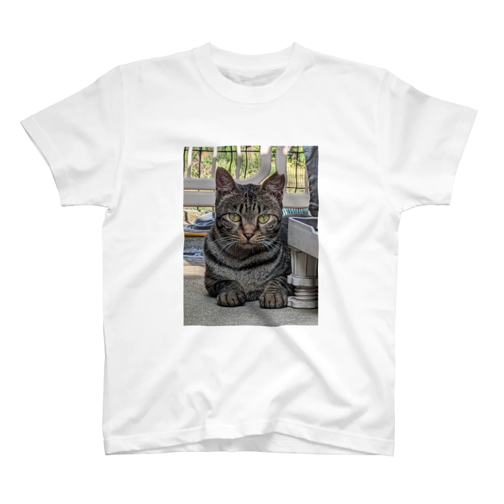 喜多村商店のさくら猫のCHAR(シャア) スタンダードTシャツ