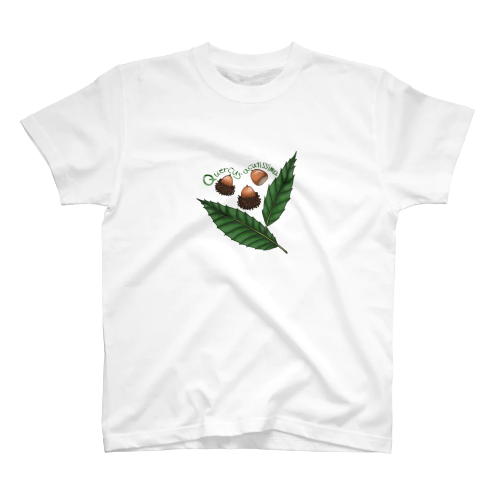 コガネ🌱水辺と緑のクヌギノミトハ スタンダードTシャツ