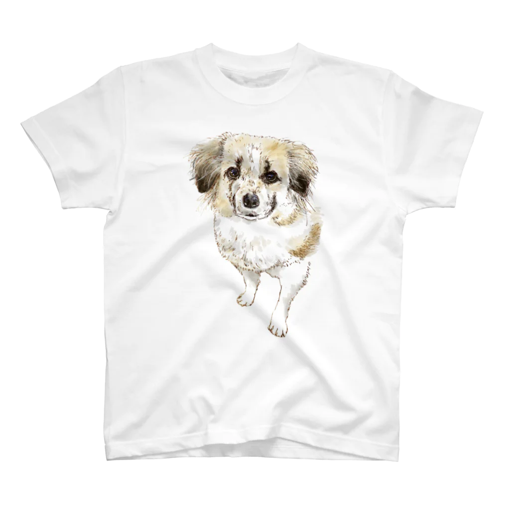 CELLOtoNERIの雑種犬セロ スタンダードTシャツ