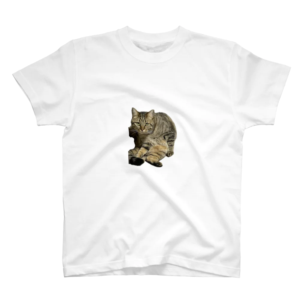 猫好きフリーターのキジトラふくよか猫 スタンダードTシャツ