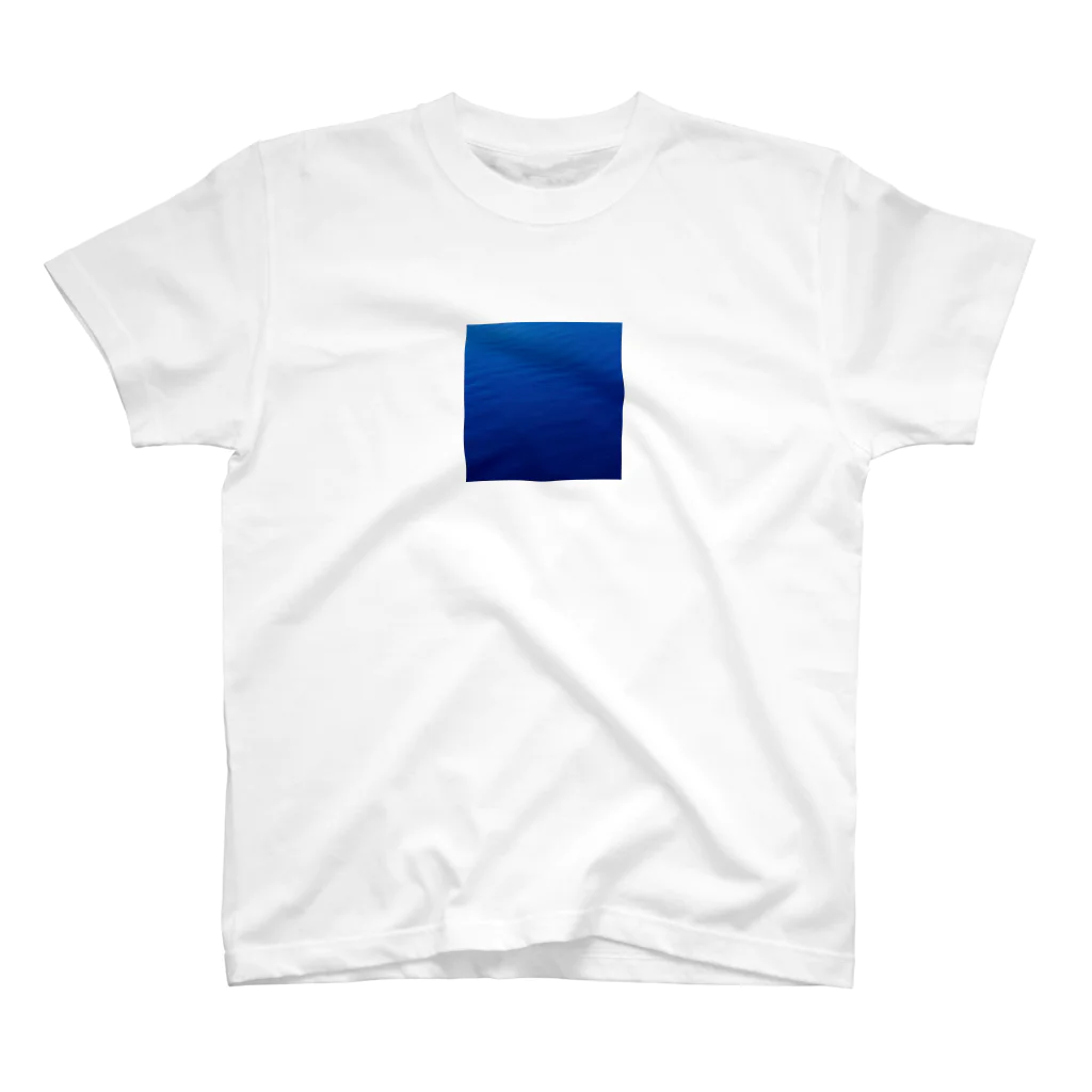 ppqのbluue スタンダードTシャツ