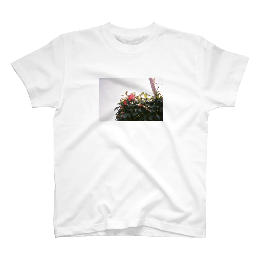 こここのどこかの花 Regular Fit T-Shirt