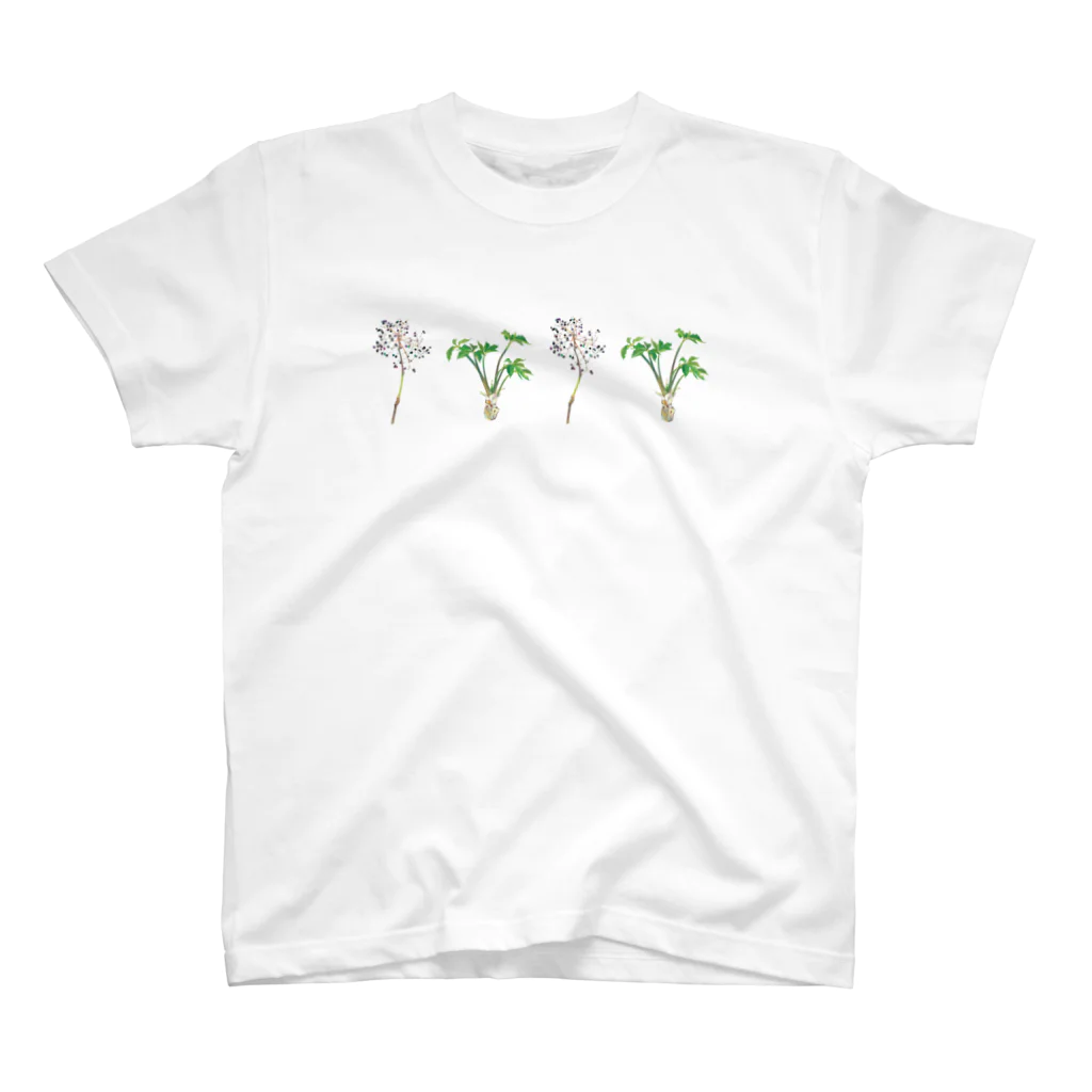 外山康雄　野の花館のコシアブラ！秋春秋春！ Regular Fit T-Shirt