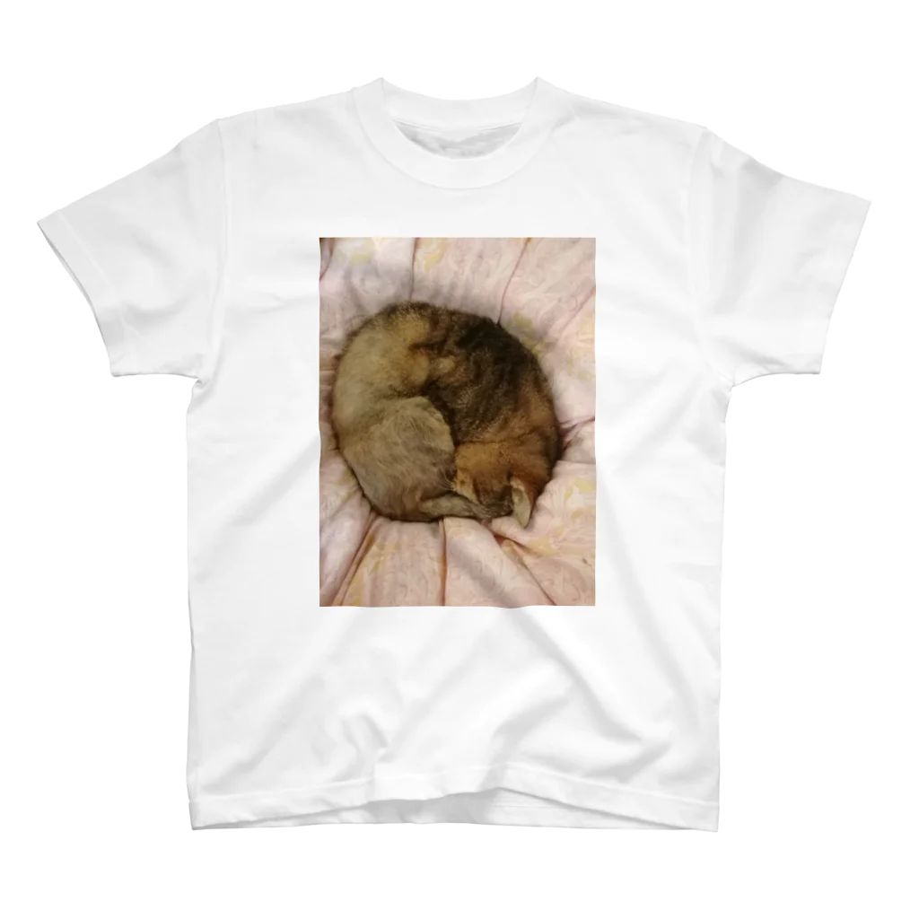 工房かみりゅんの家の猫アンモナイト型 スタンダードTシャツ