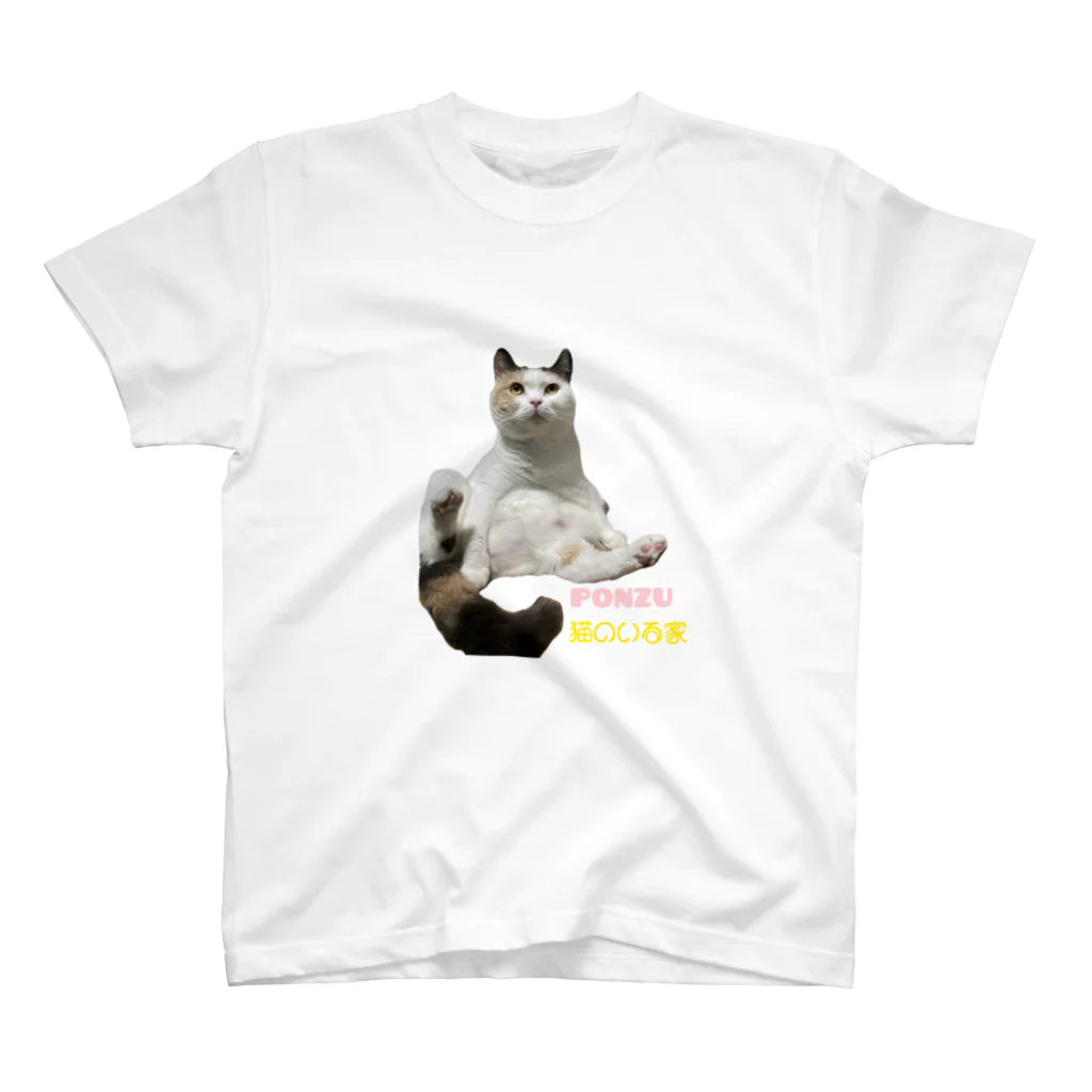 neko-noiruieの猫のいる家　ぽんずちゃん スタンダードTシャツ