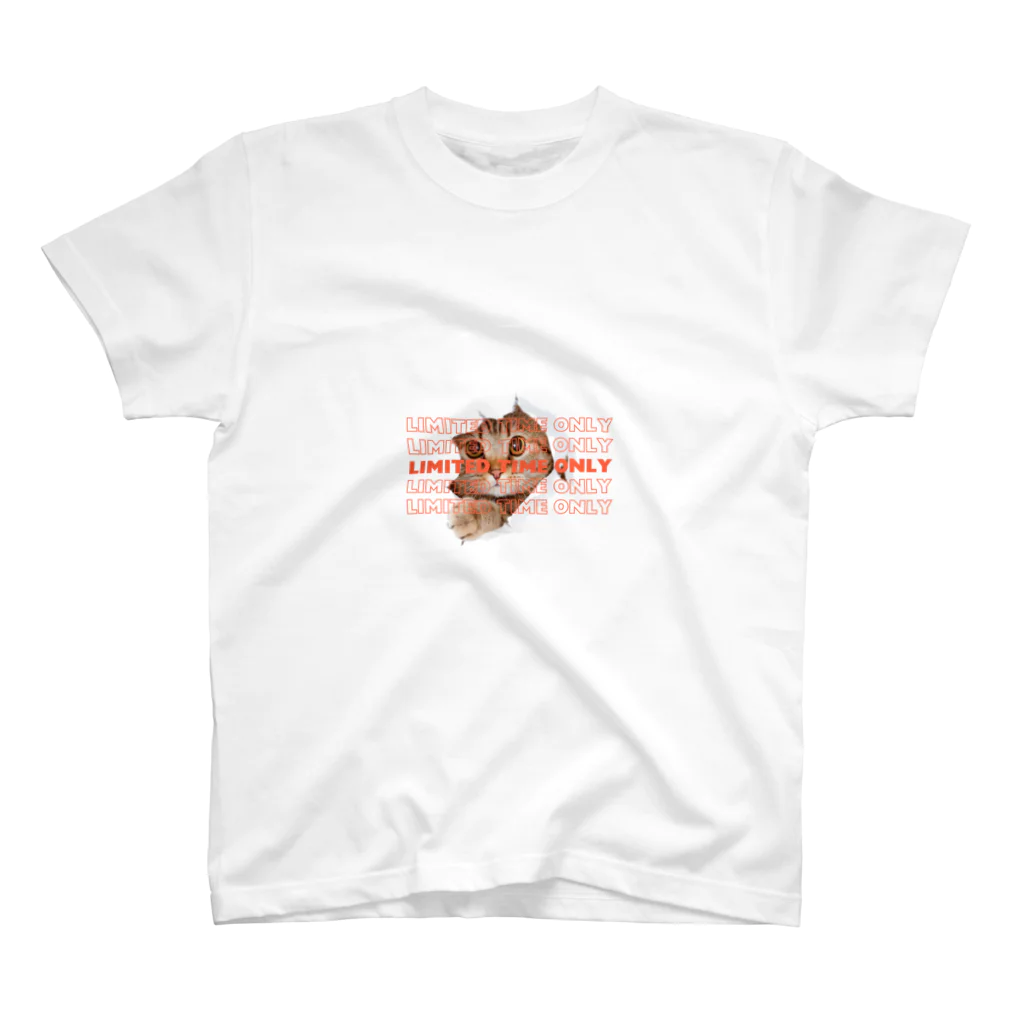 Holidayの猫 スタンダードTシャツ