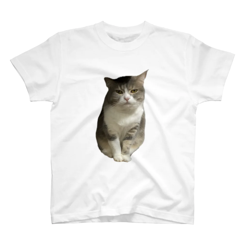 むっちり猫のむっちり丸の不機嫌な美猫 ミロ姫 Regular Fit T-Shirt