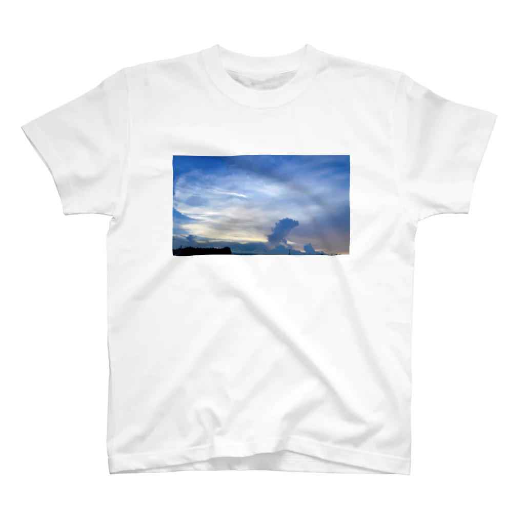 makiko_suginoのsunset スタンダードTシャツ