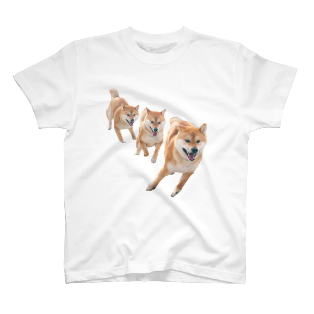 shibabawanの走る柴犬 スタンダードTシャツ