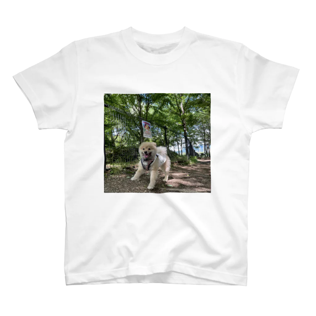 teの思い出の夏の日の犬 スタンダードTシャツ