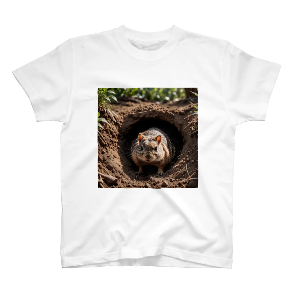 abiruttiの隠れる為の巣穴 スタンダードTシャツ