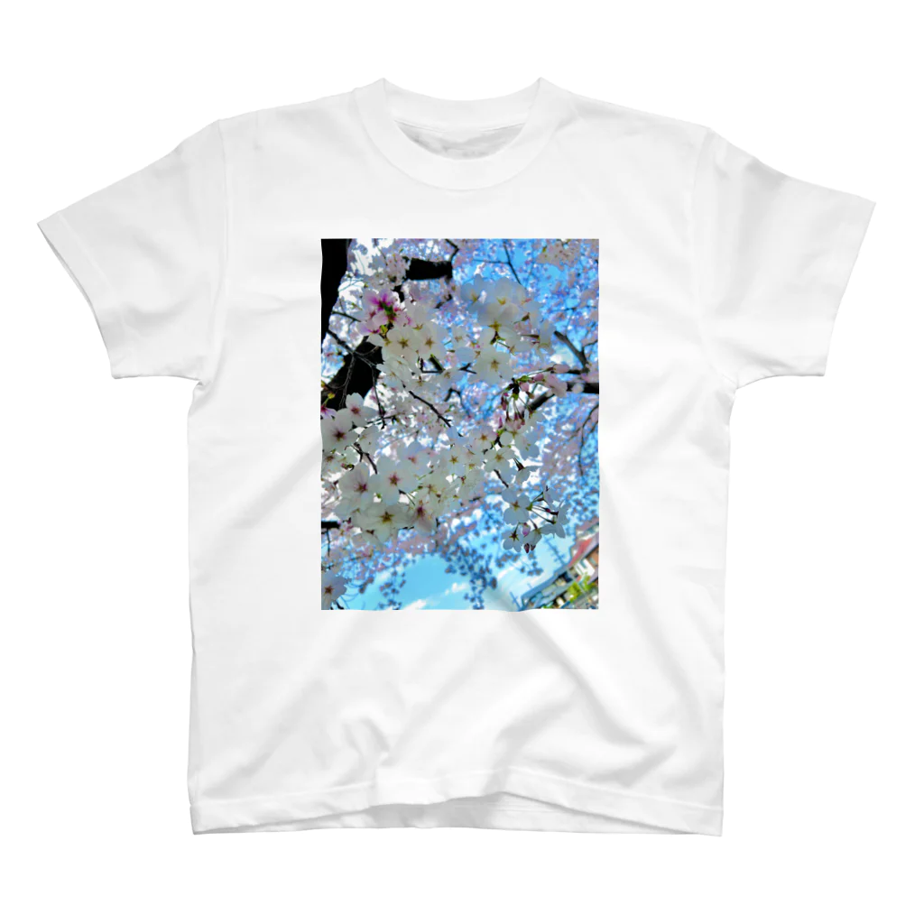 pio-japanのサクラspring スタンダードTシャツ