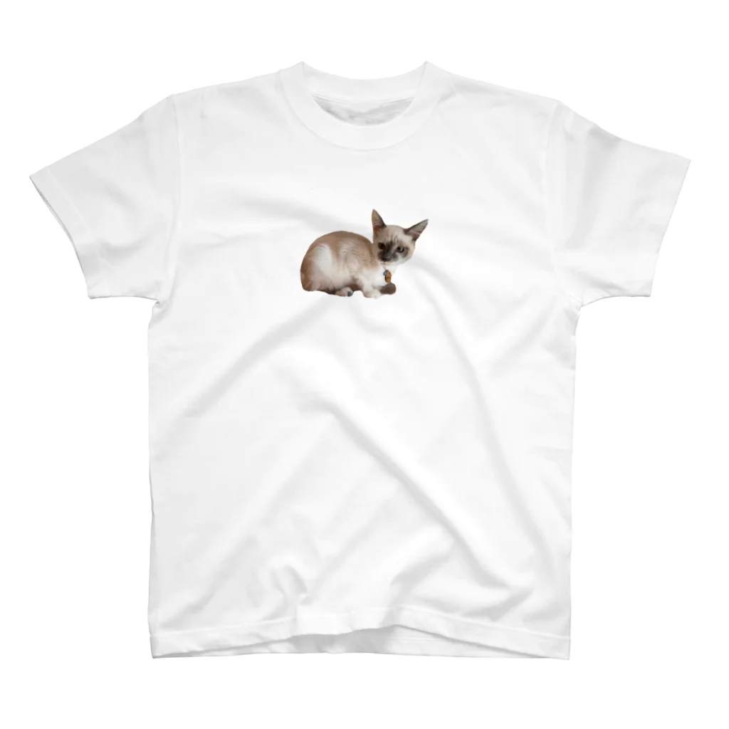 仔猫のぽんちゃんをお助けshop (子猫、ねこ、シャム猫、保護猫、ハチワレ、グレー猫)のぽんちゃんお助け隊No4 子猫 シャム猫 ねこ Regular Fit T-Shirt
