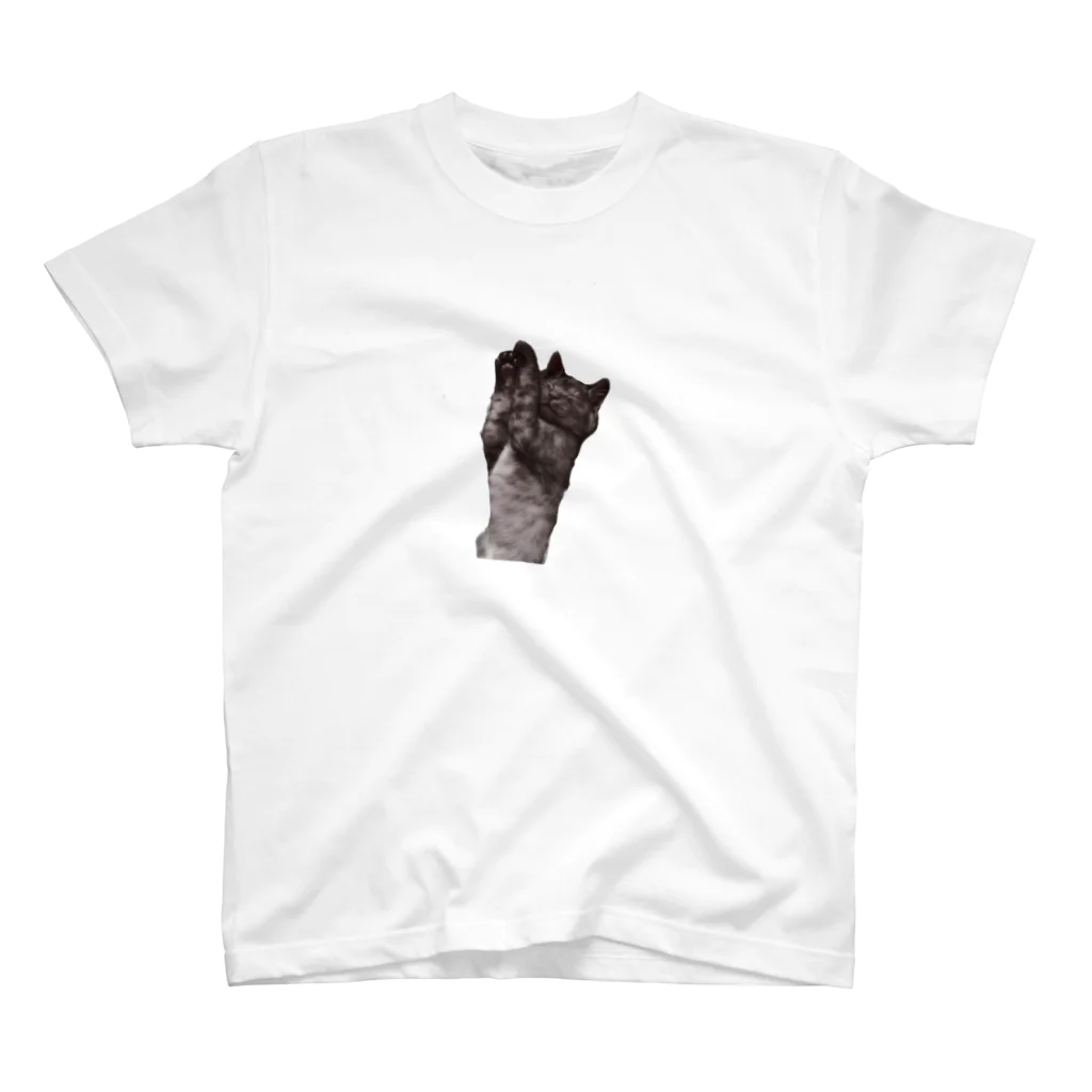 仔猫のぽんちゃんをお助けshop (子猫、ねこ、シャム猫、保護猫、ハチワレ、グレー猫)のぽんちゃんお助け隊No10そば参戦 グレー猫 ねこ Regular Fit T-Shirt