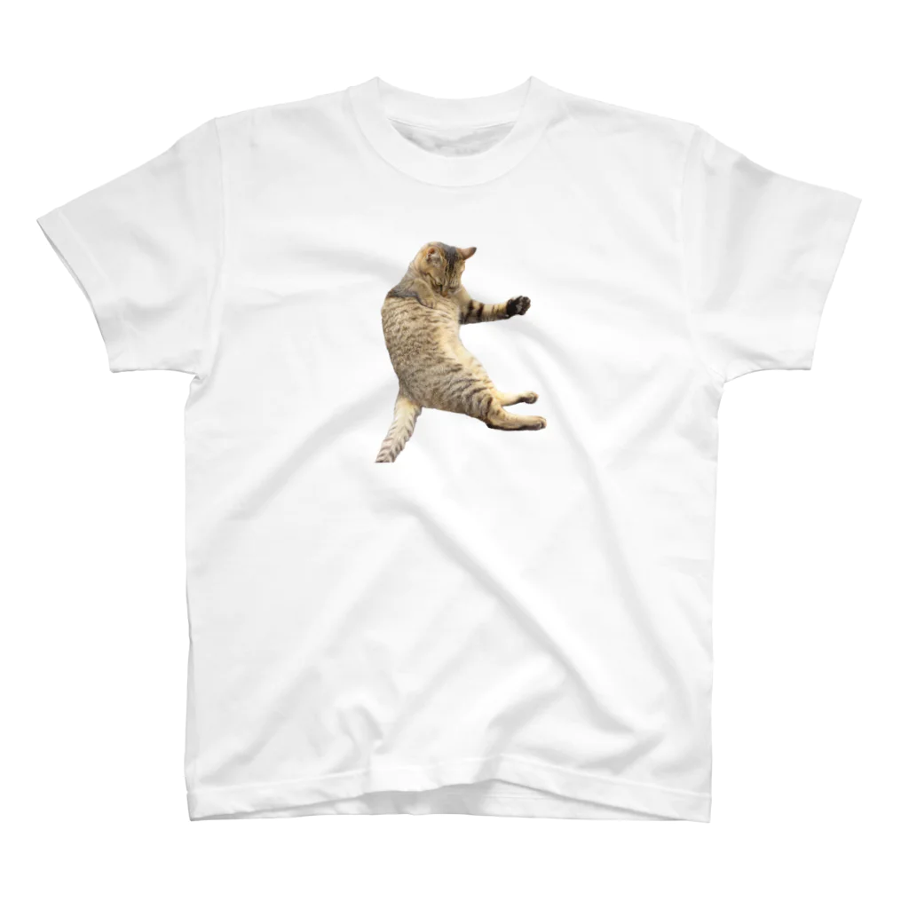 テモカリタイの猫吸いTシャツ スタンダードTシャツ