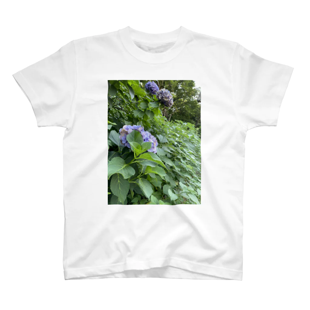 リングロングの紫陽花の絵　Tシャツ スタンダードTシャツ