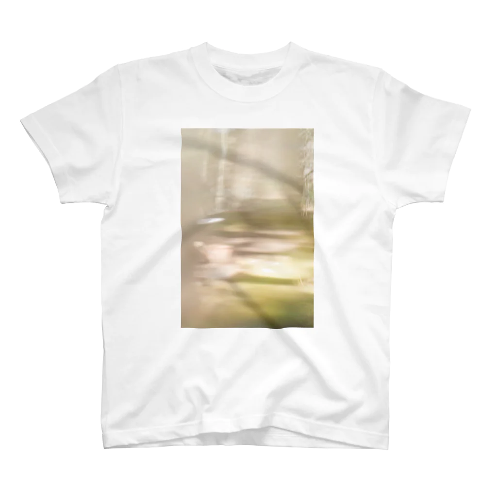 lumièreー光の木漏れ日の景色I Regular Fit T-Shirt