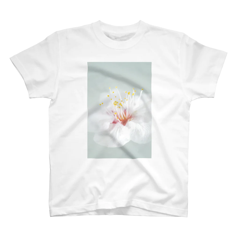 lumièreー光の桜Ⅲ スタンダードTシャツ