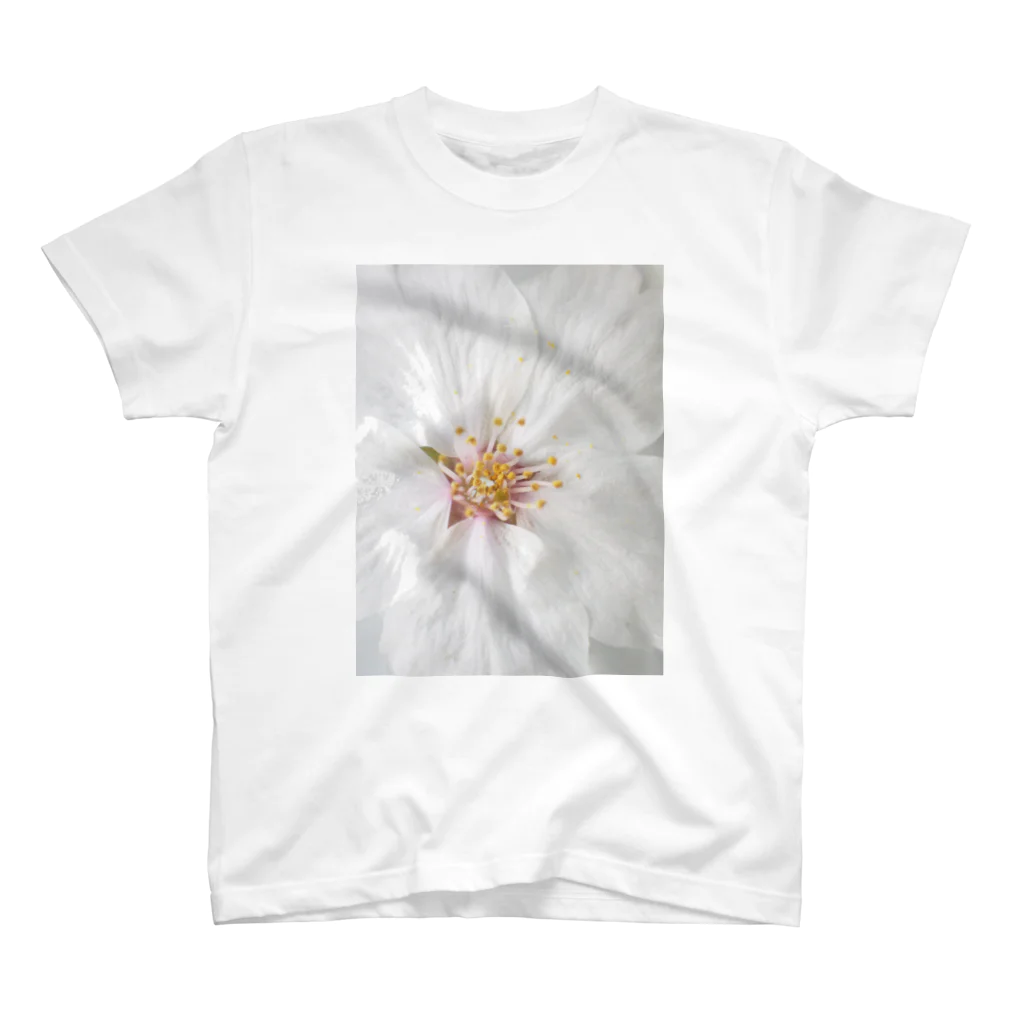 lumièreー光の桜Ⅳ Regular Fit T-Shirt