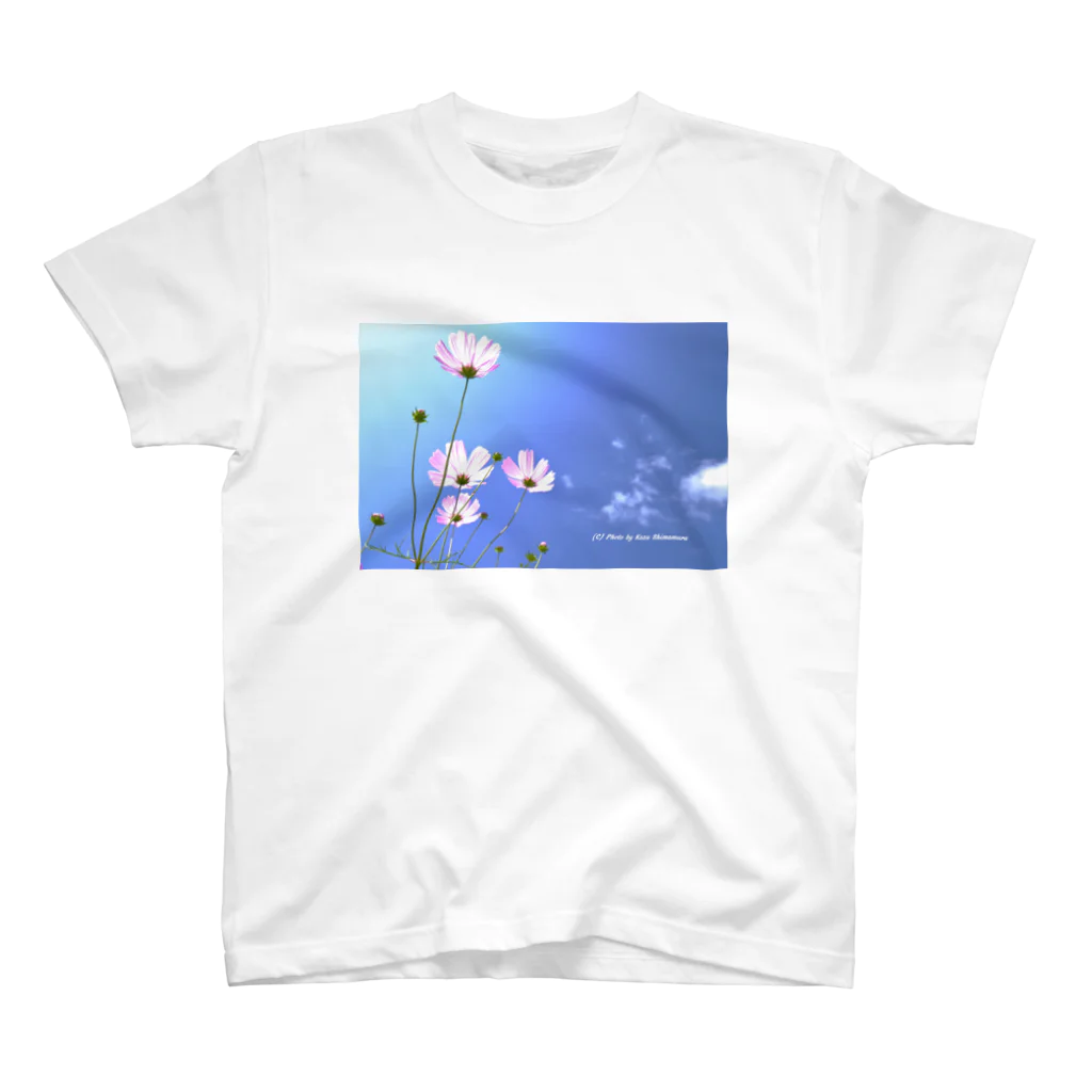 KazuphotographyのKazuphotography スタンダードTシャツ