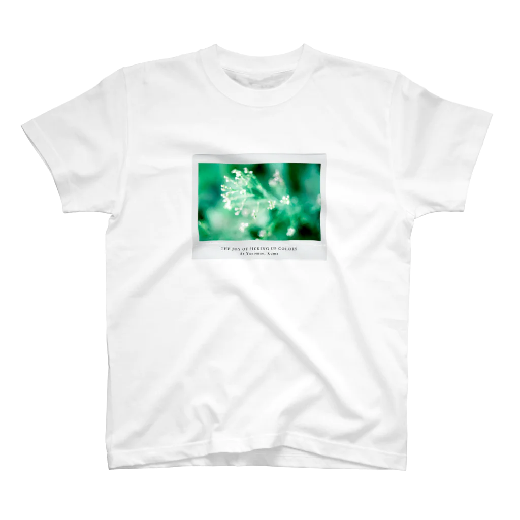 Asoiroの雫の花 Regular Fit T-Shirt