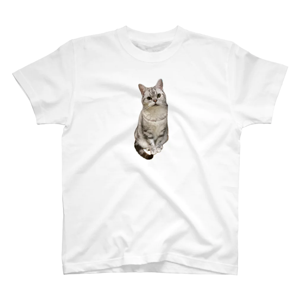 うちの猫ちゃんたちの数少ない美男子とらと Regular Fit T-Shirt