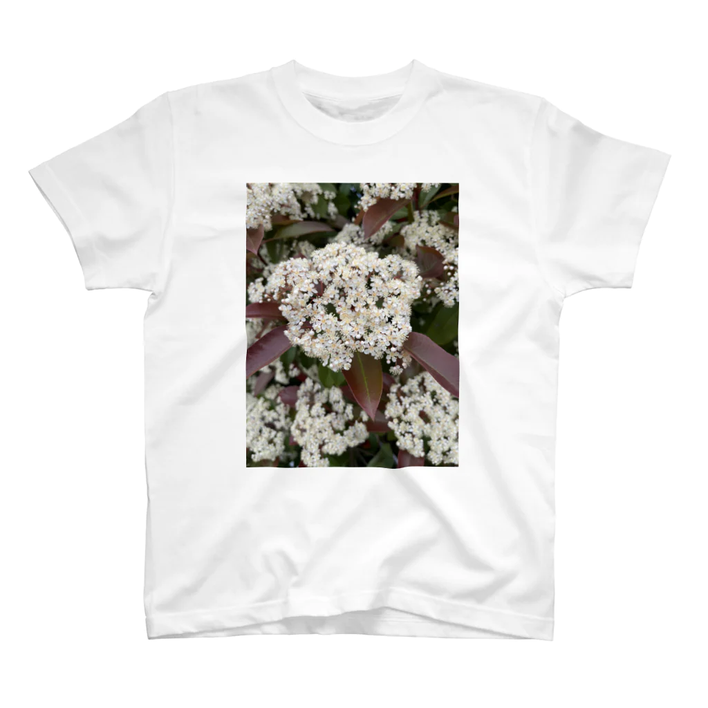 みーちゃんの白い花 スタンダードTシャツ