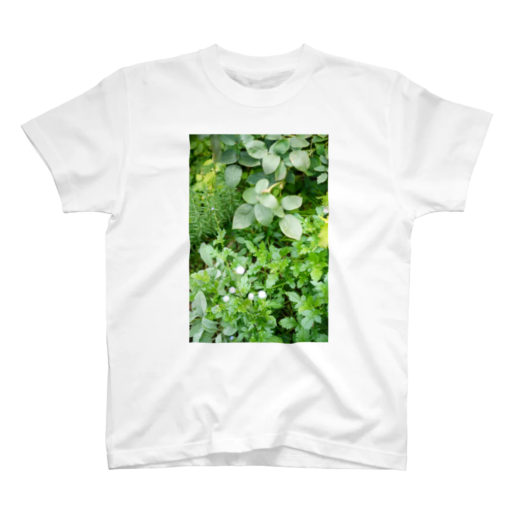 capture hidamariのplant capturing 1  Regular Fit T-Shirt