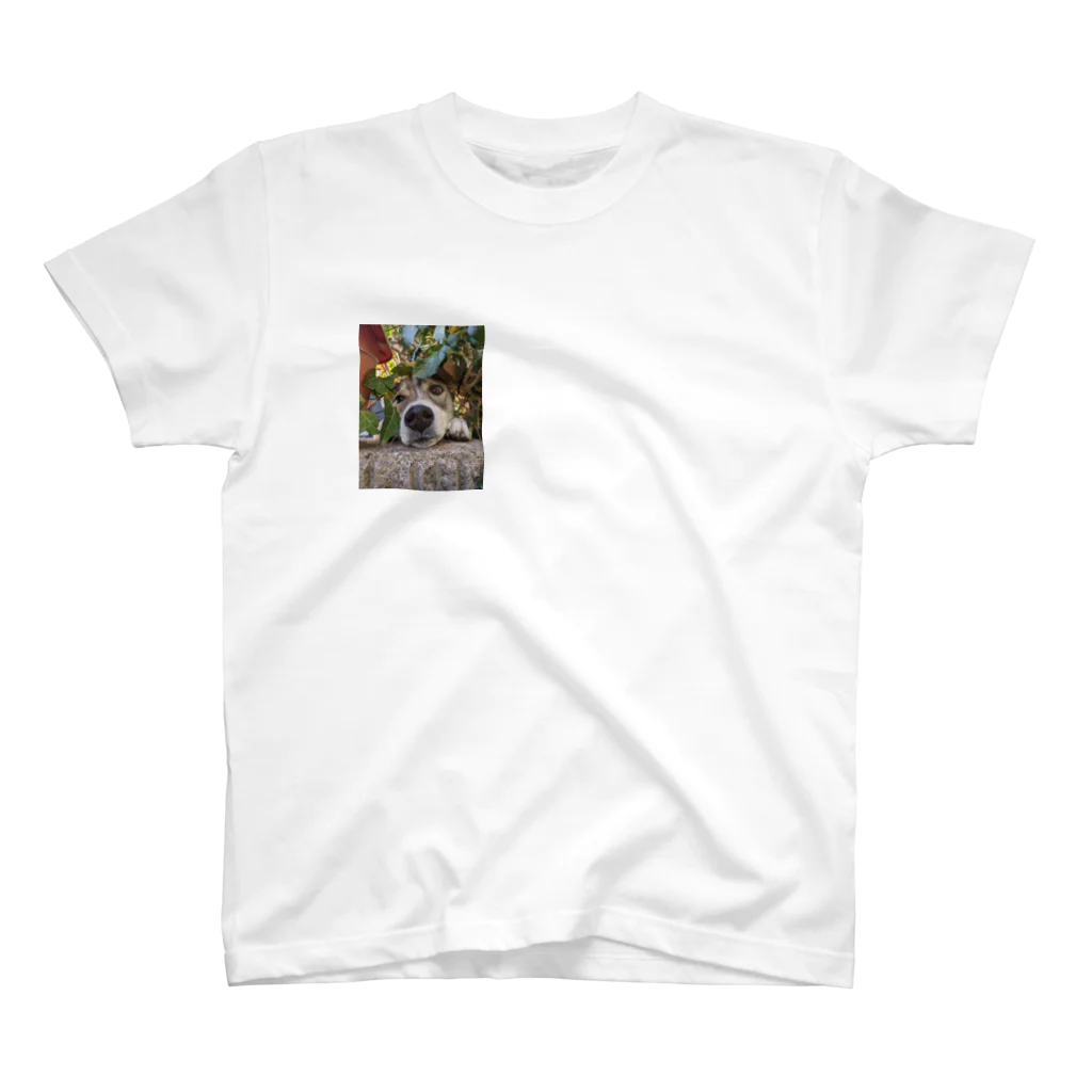 もふまみれのいぬまみれ Regular Fit T-Shirt