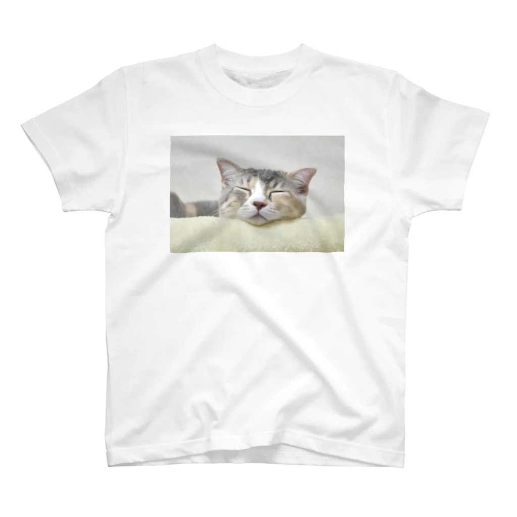 ひのはらくみの子猫の寝顔 スタンダードTシャツ