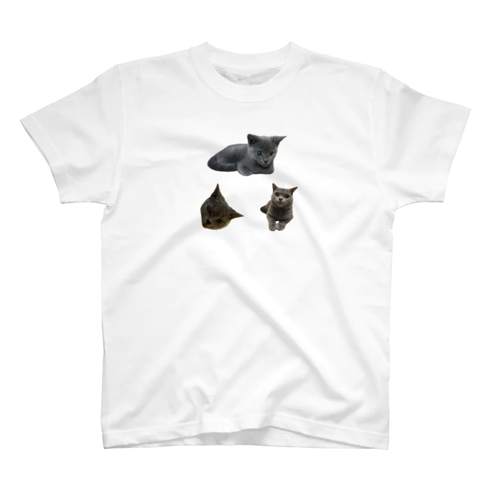 うちの猫ちゃんたちのるうなトライアングル♻️_No.1 Regular Fit T-Shirt