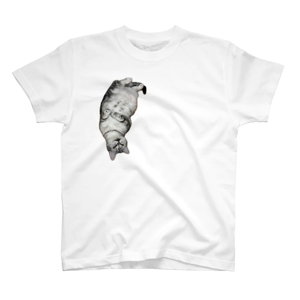 うちの猫ちゃんたちの変死体風とらと_No.1 Regular Fit T-Shirt