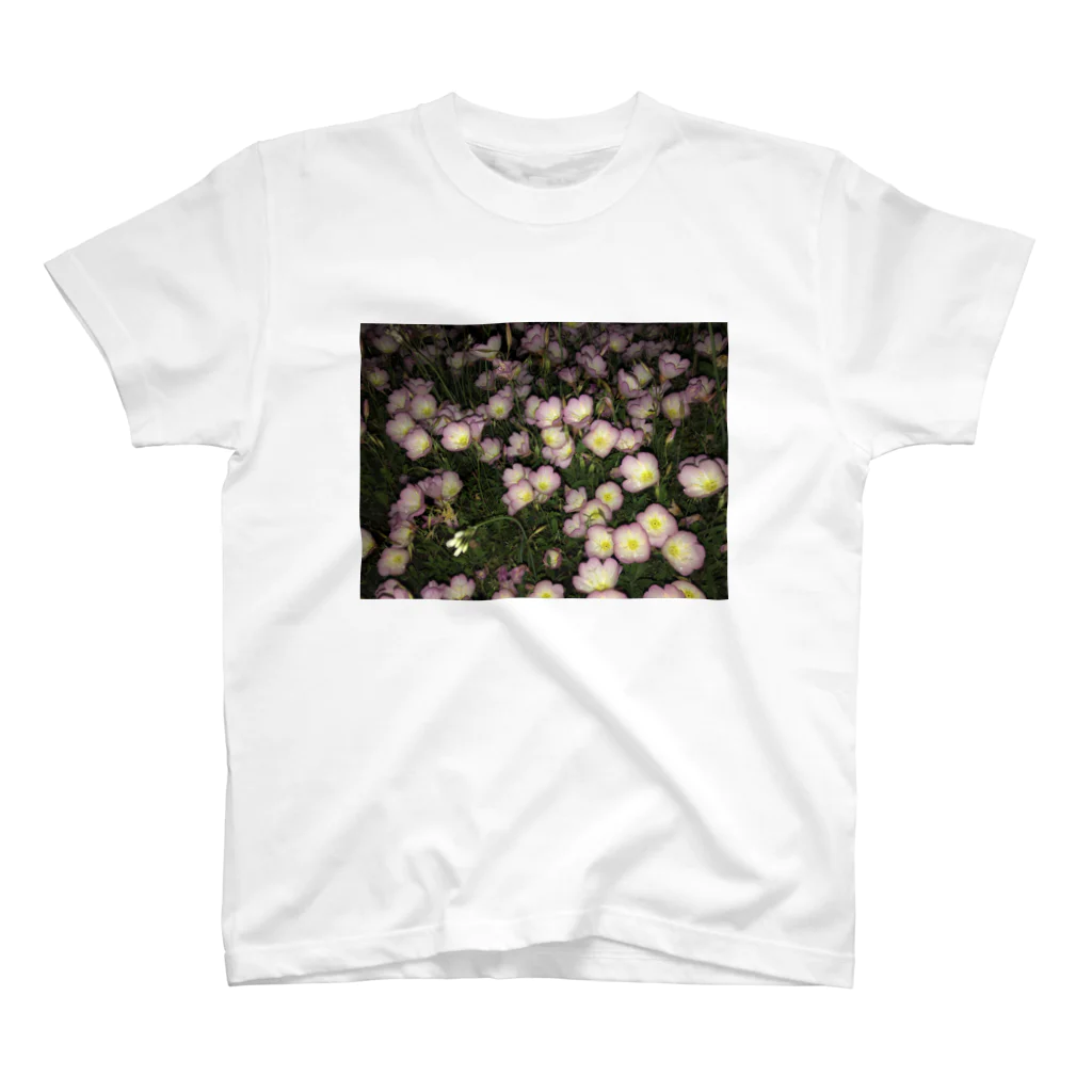 earthy(アーシー)の月見草 スタンダードTシャツ