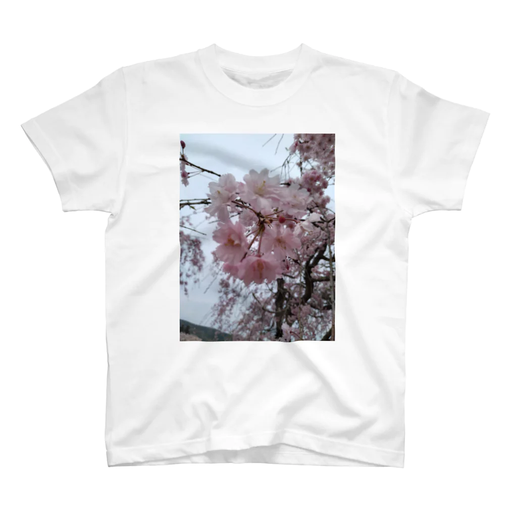 umejirouのさくら満開 Regular Fit T-Shirt