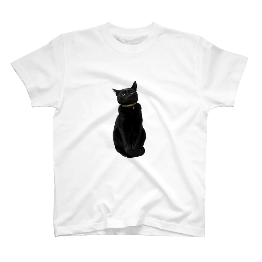 黒猫マメちゃんの魅惑ショップのリアル黒猫マメちゃんグッズ Regular Fit T-Shirt