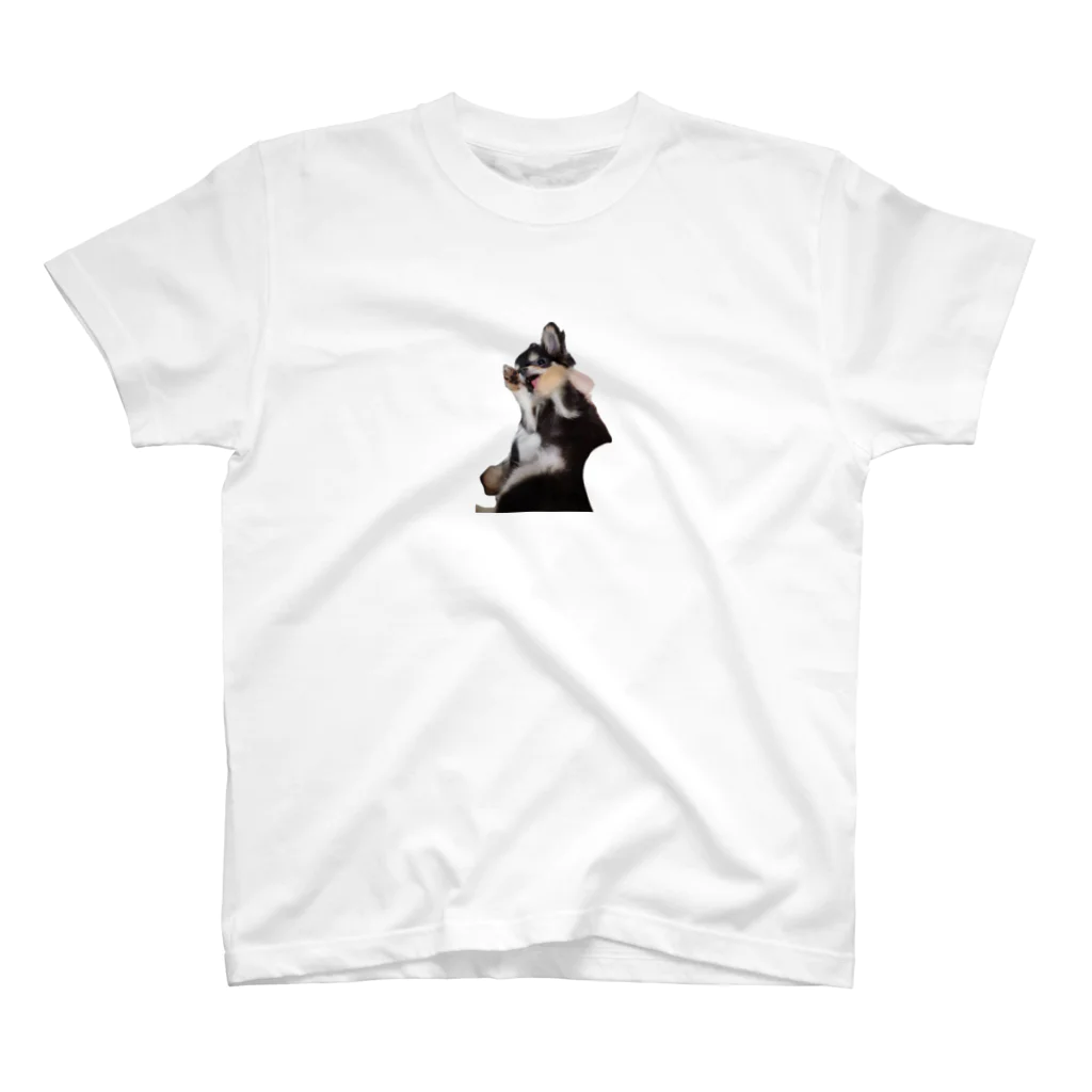 我が家の愛犬の我が家のアイドル犬ラキ Regular Fit T-Shirt