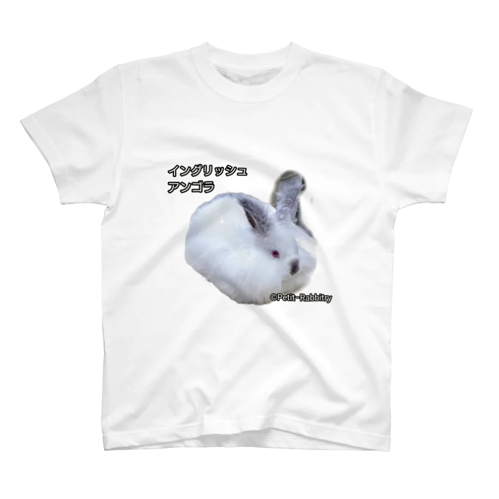 Petit-RabbitryのイングリッシュアンゴラＴシャツ スタンダードTシャツ