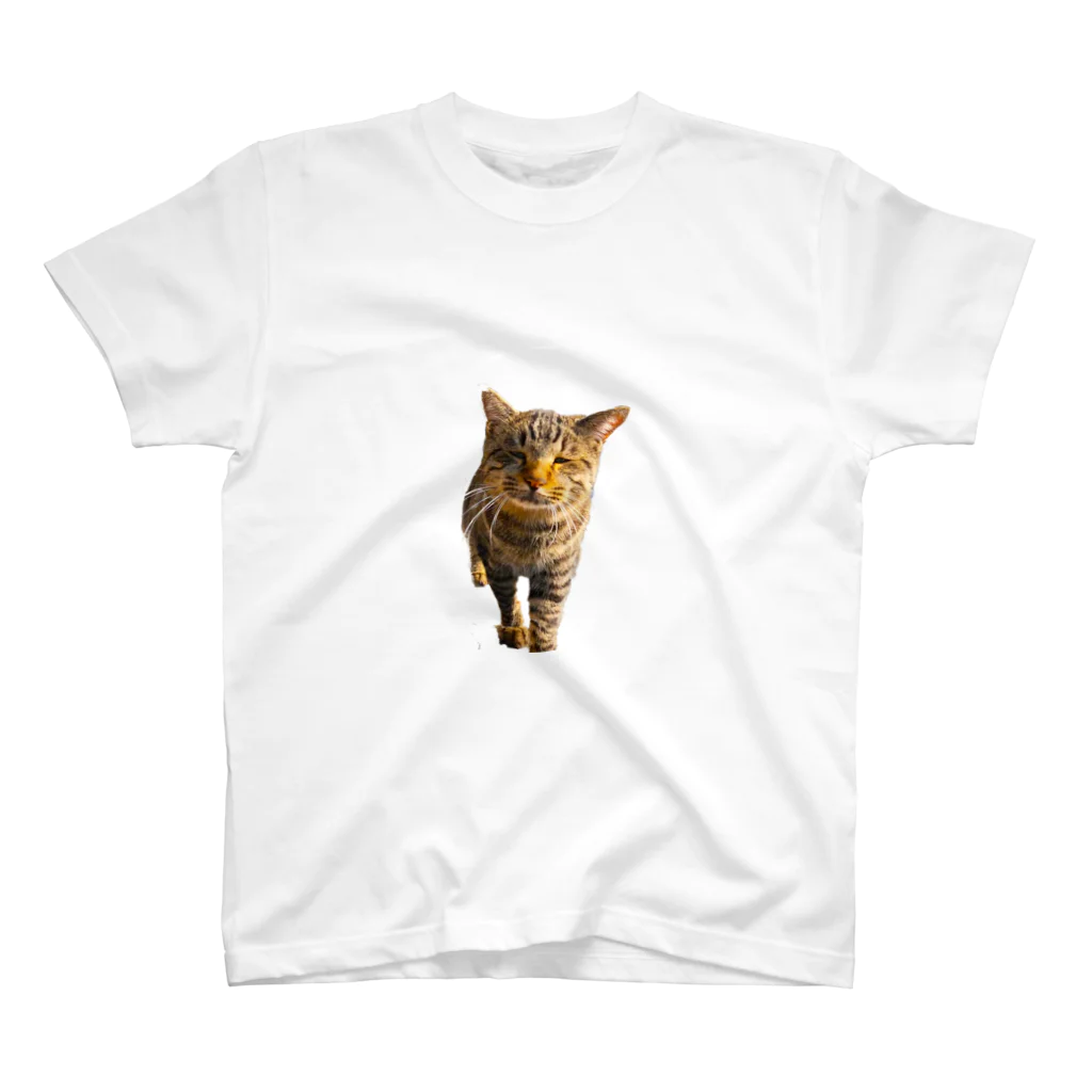 猫島のじかんのごめ～んにゃさい スタンダードTシャツ