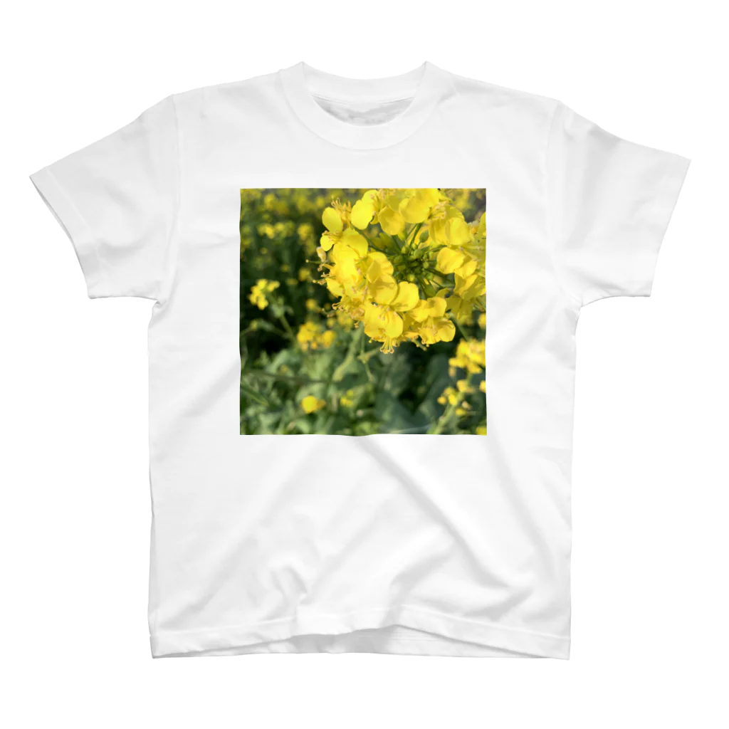 ぐうこの菜の花畑 スタンダードTシャツ