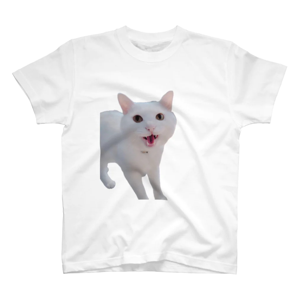 ふくねこのしろねこM スタンダードTシャツ