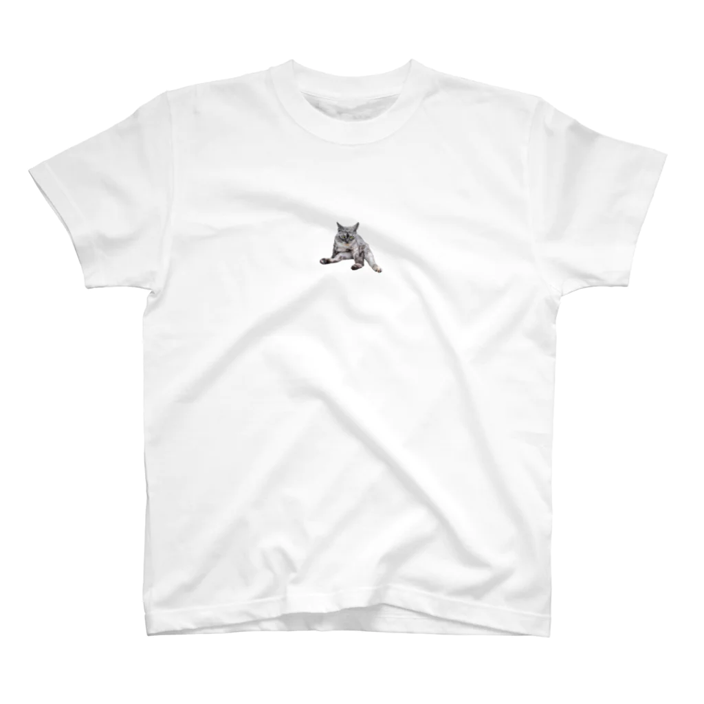 まごわやさしいのガン飛ばし猫（実写） Regular Fit T-Shirt