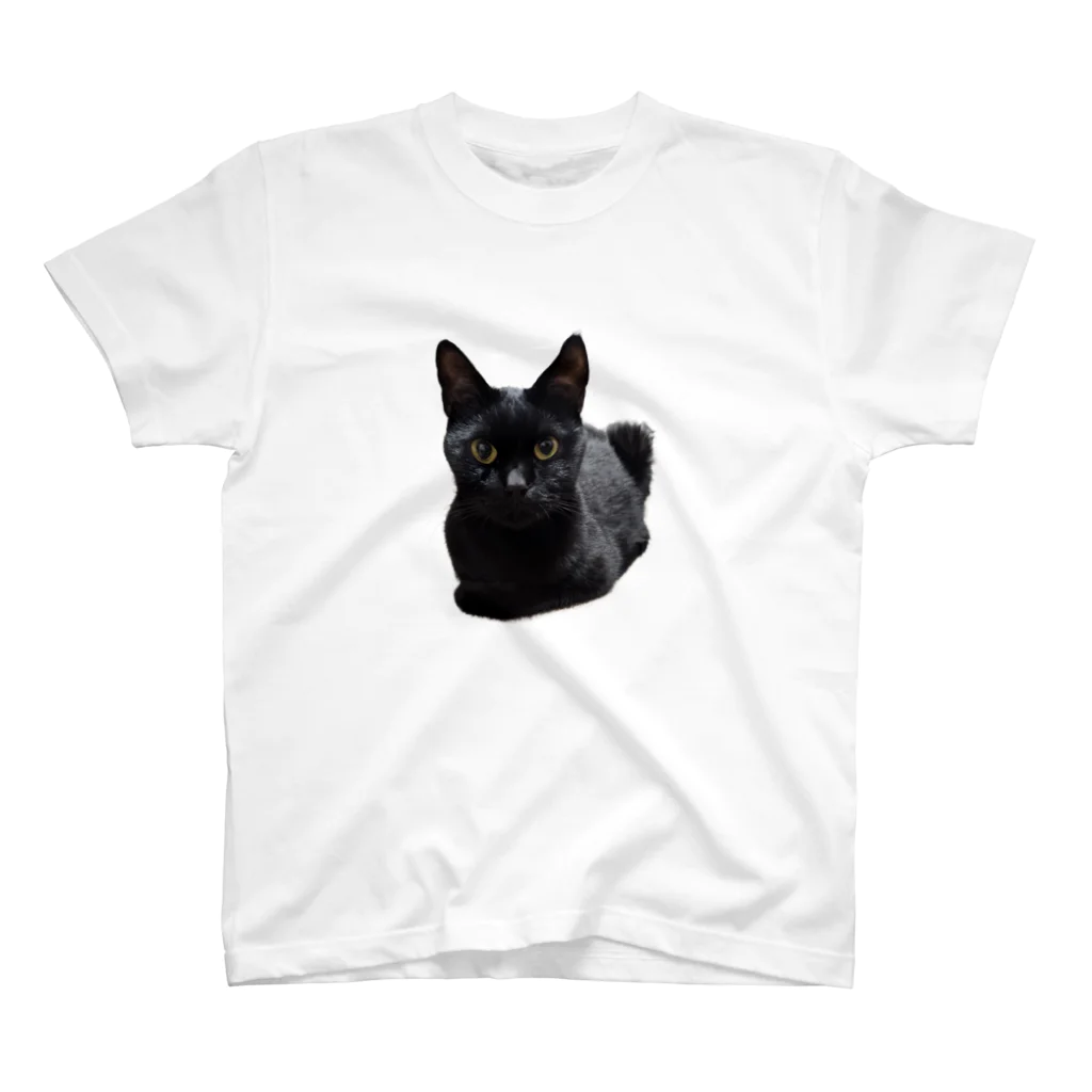 黒猫Onlyのきょろり黒ねこ Regular Fit T-Shirt