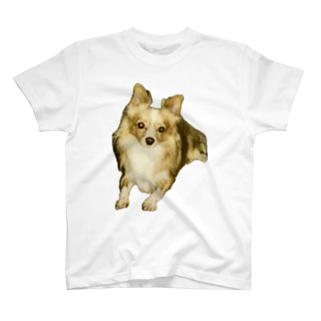 ゲドテコデータプールセンターの犬1号 スタンダードTシャツ