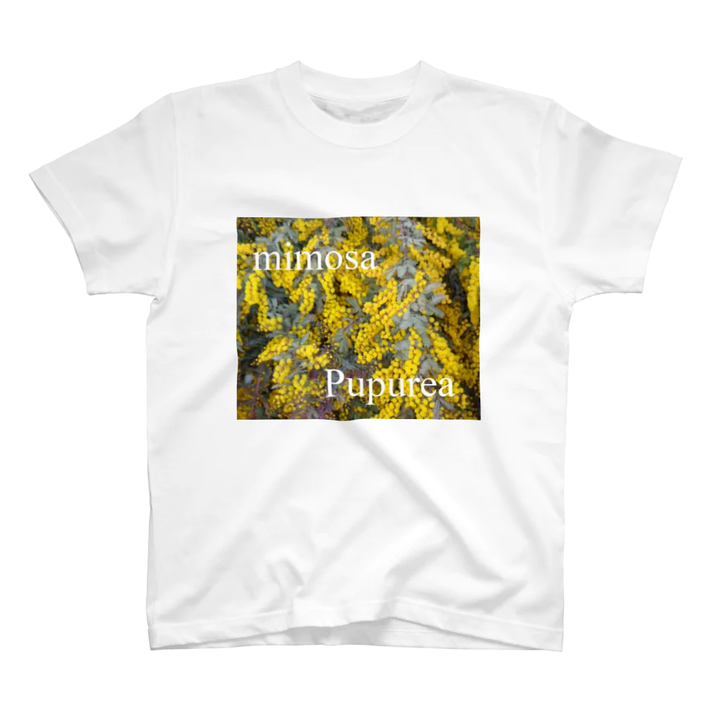 To-You133のMimosa　Pupurea スタンダードTシャツ