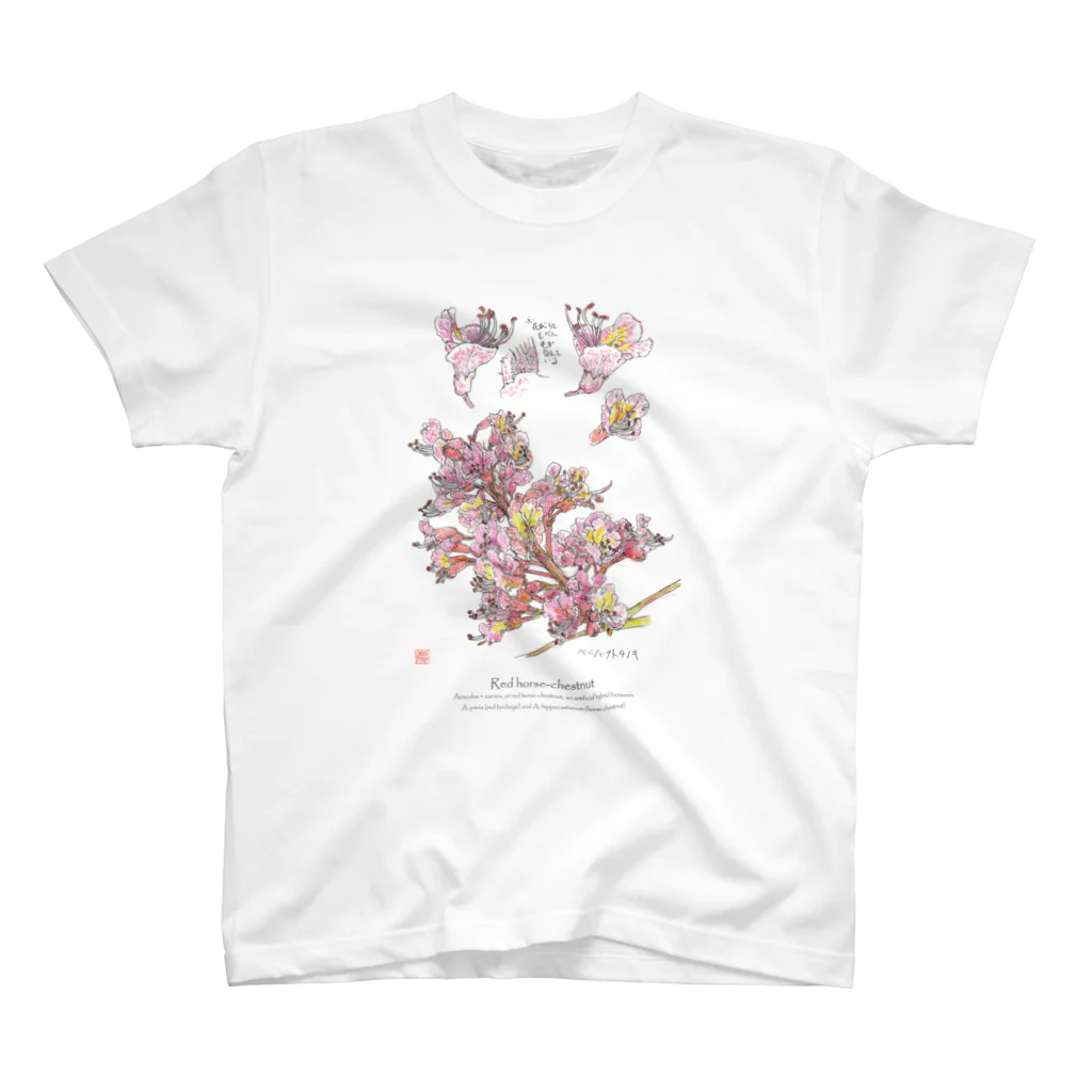 茄椅菰の博物画教室の博物画　ベニバナトチノキの花のTシャツ Regular Fit T-Shirt