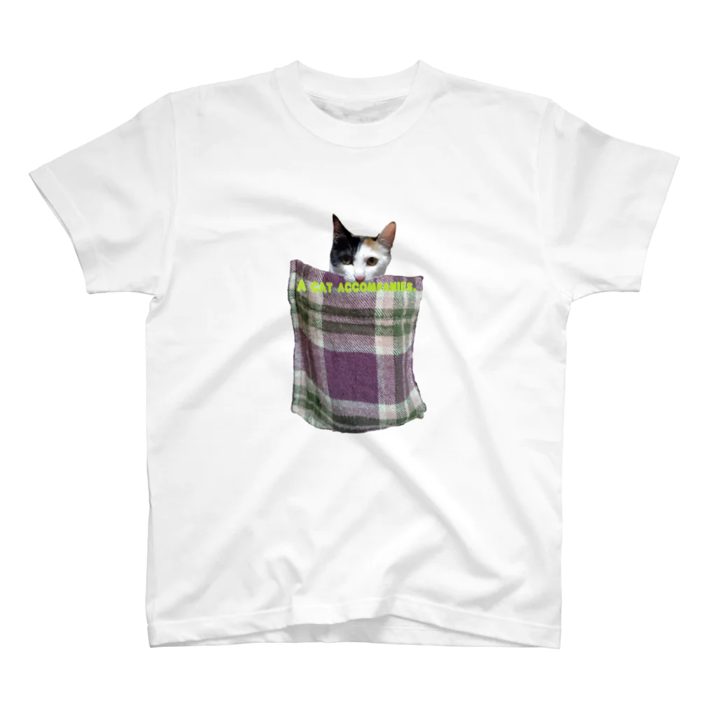 HesseのA cat accompanies～猫と一緒に旅をする。 スタンダードTシャツ