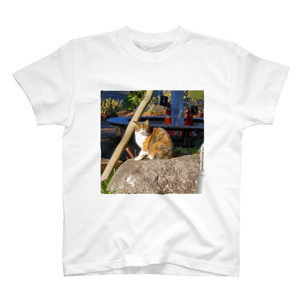 shop@brcの寝てたい猫 Regular Fit T-Shirt